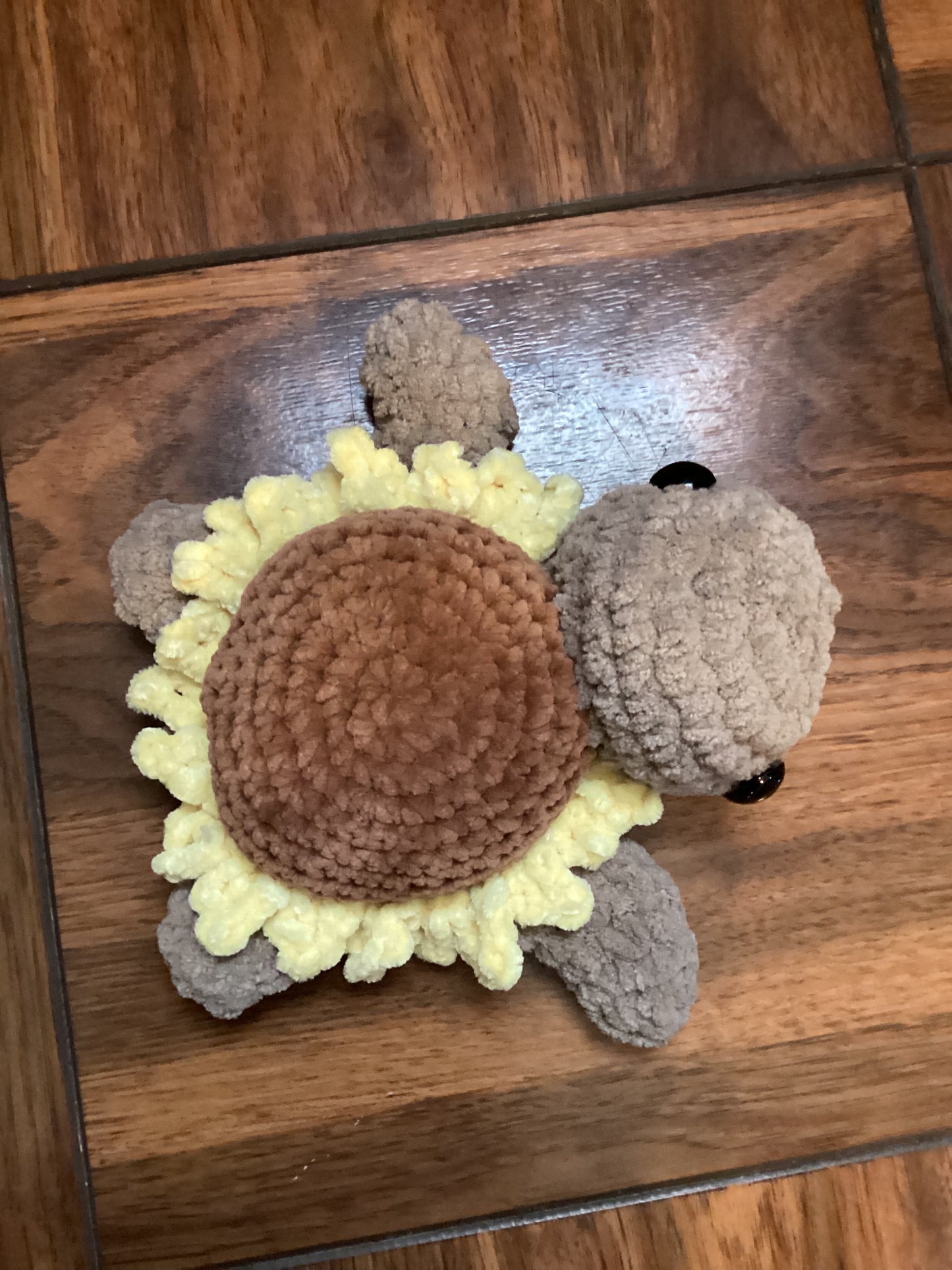 Sunflower Turtle