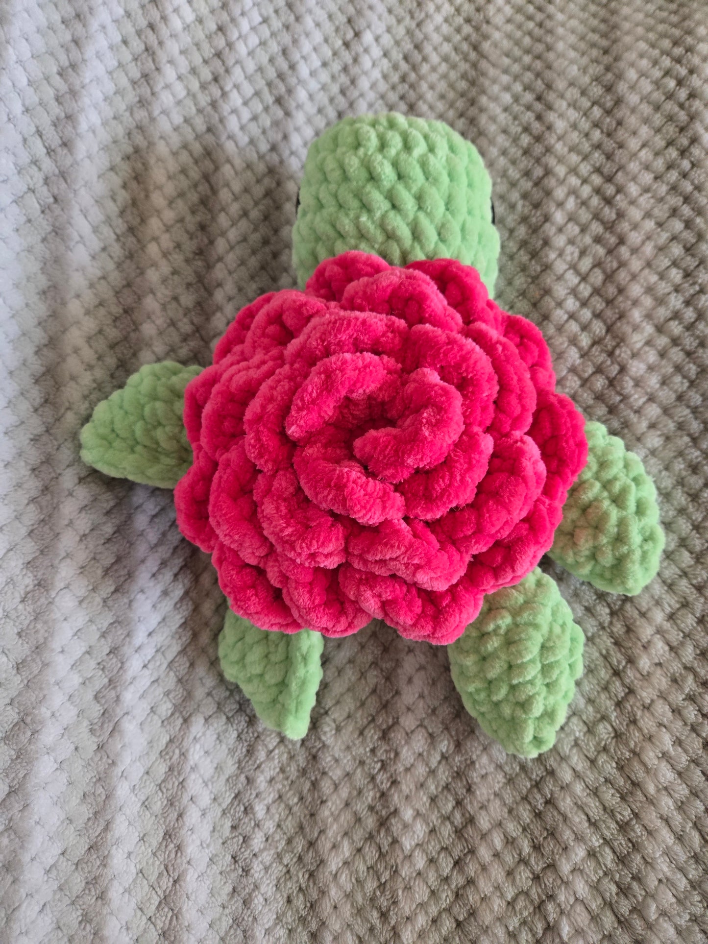 Rose turle