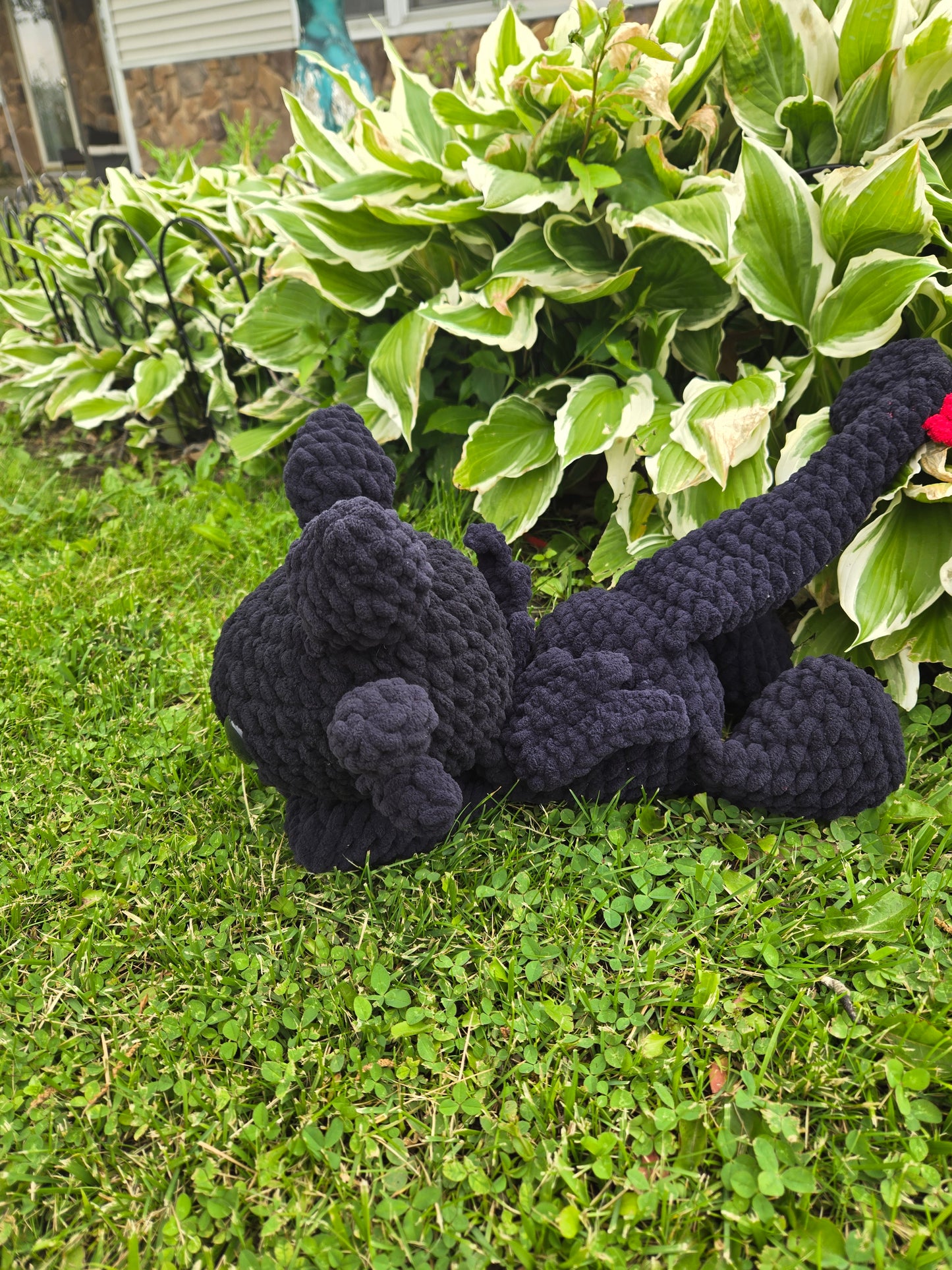 Large splooting weighted toothless